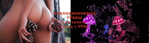 прущие грибы Красноперекопск
