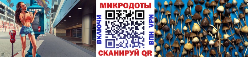 Галлюциногенные грибы прущие грибы  купить   Ахтырский 